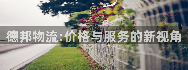 ,优游国际p扣除是什么意思：德邦物流:价格与服务的新视角