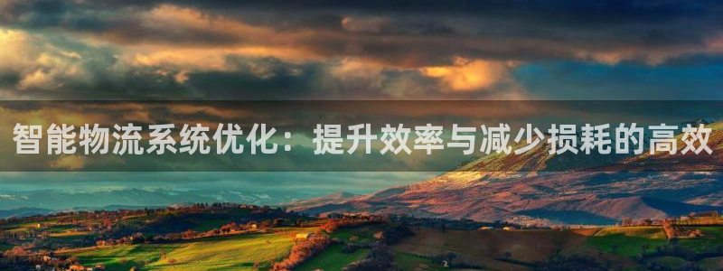 ,优游国际pg麻将胡了：智能物流系统优化：提升效率与减少损耗