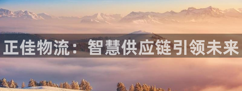 ,优游国际充值不到账怎么回事：正佳物