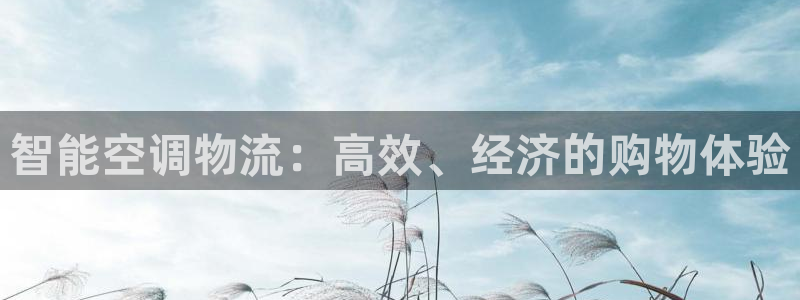 ,优游国际充值不处理会怎么样：智能空调物流：高效、经济的购物