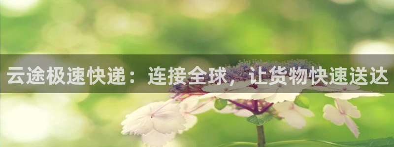 优游国际官网平台：云途极速快递：连接