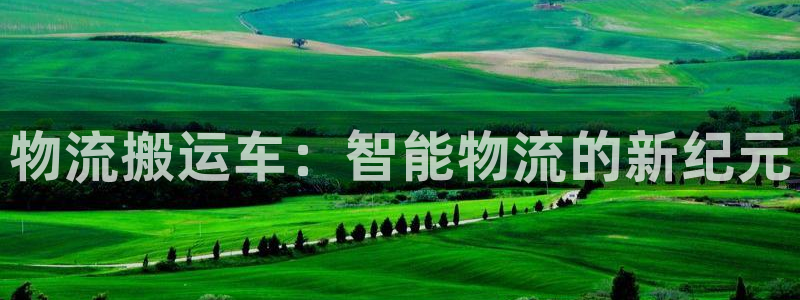 ,优游国际推广链接是多少粉丝：物流搬