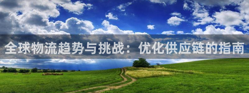 ,优游国际加拿大28：全球物流趋势与