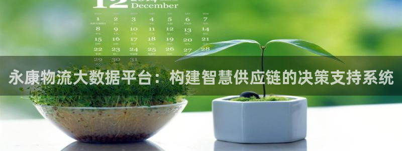 ,优游国际加拿大