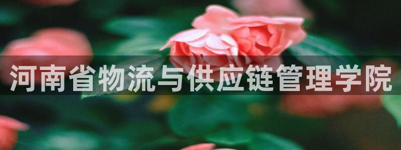 优游国际官网下载多少钱