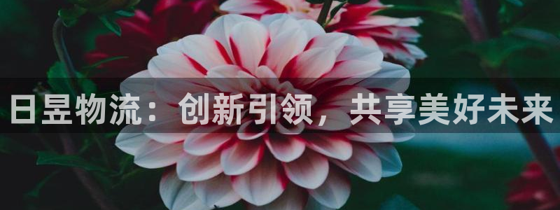 ,优游国际游戏最新版