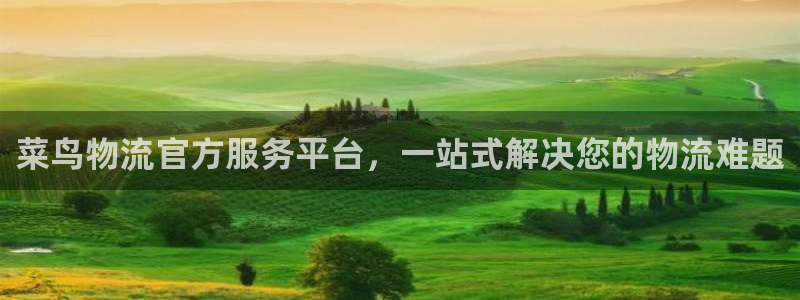 ,优游国际软件