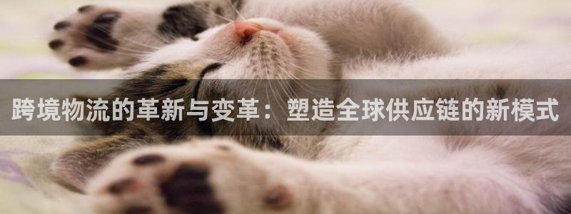 ,优游国际怎么下载不了：跨境物流的革