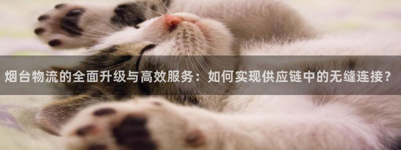 ,优游国际：烟台物流的全面升级与高效服务：如何实现供应链中的