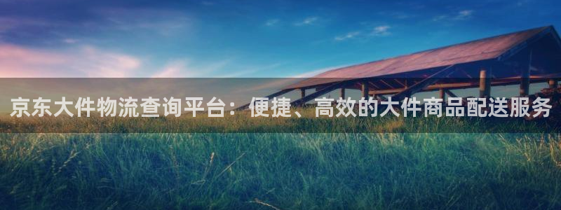 ,优游国际注册链接教程：京东大件物流查询平台：便捷、高效的大