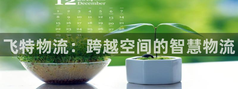 ,优游国际电子游戏：飞特物流：跨越空