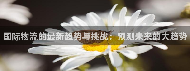 ,优游国际为什么打不开
