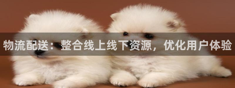 ,优游国际推广链接是多少