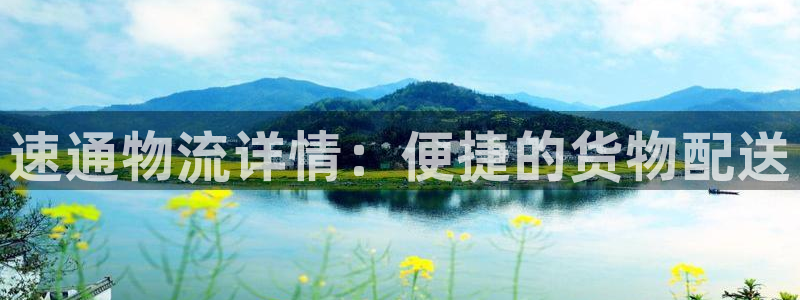 ,优游国际下载不了：速通物流详情：便