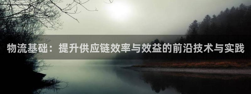 ,优游国际平台注册：物流基础：提升供应链效率与效益的前沿技术