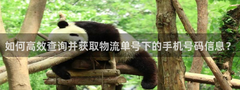 ,优游国际推广链接是多少个:如何高效