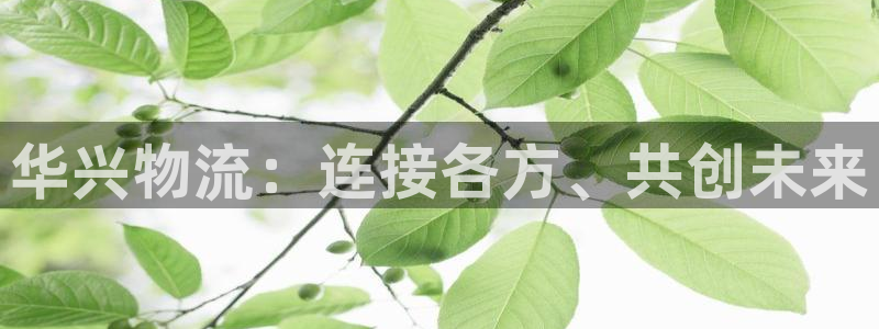 ,优游国际登陆网：华兴物流：连接各方