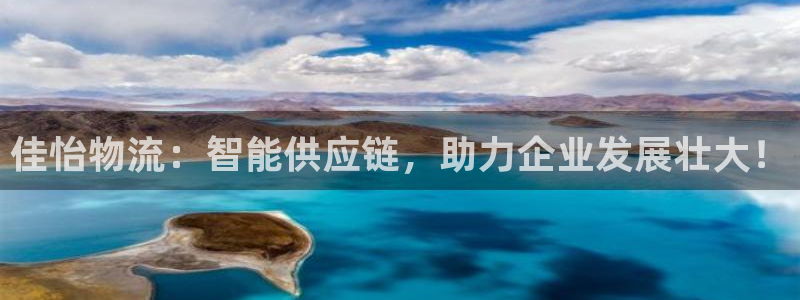 ,优游国际模拟器：佳怡物流：智能供应