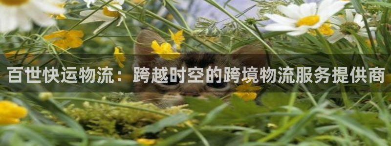 ,优游国际能提现吗：百世快运物流：跨