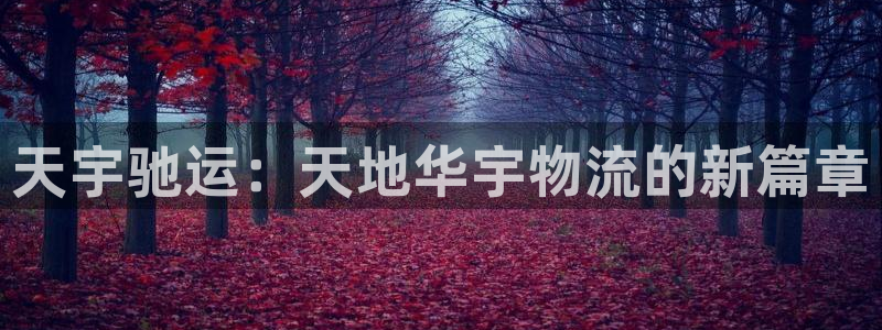 ,优游国际口内径是多大：天宇驰运：天地华宇物流的新篇章