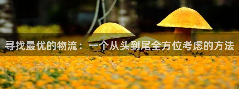 ,优游国际加拿大28