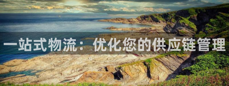 ,优游国际南宫娱乐官网:一站式物流: