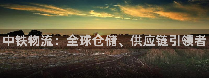 ,优游国际加拿大pc预测：中铁物流：全球仓储、供应链引领者