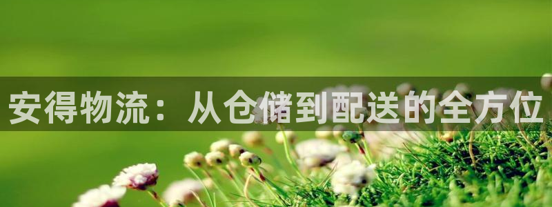 ,优游国际注册链接教程