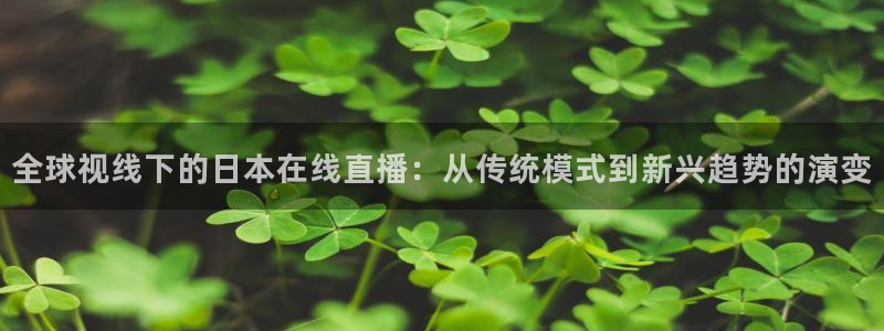 蜘蛛直播nba在线观看