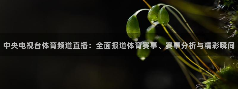 nba蜘蛛：中央电视台体育频道直播：全面报道体育赛事、赛事分析与精彩瞬间
