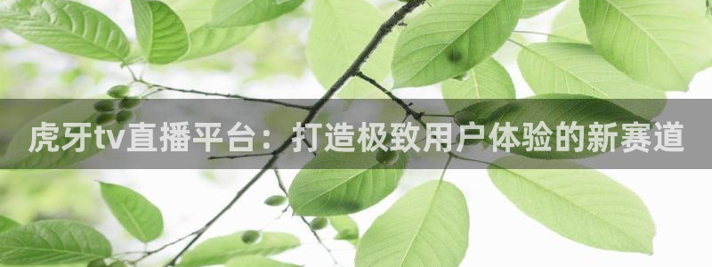 nba蜘蛛免费直播：虎牙tv直播平台：打造极致用户体验的新赛道