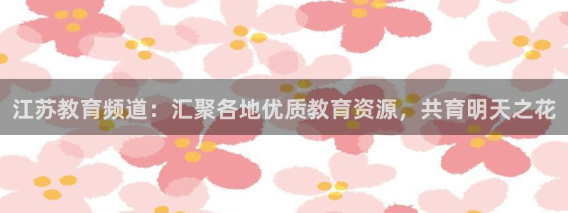 蜘蛛直播体育nba：江苏教育频道：汇聚各地优质教育资源，共育明天之花