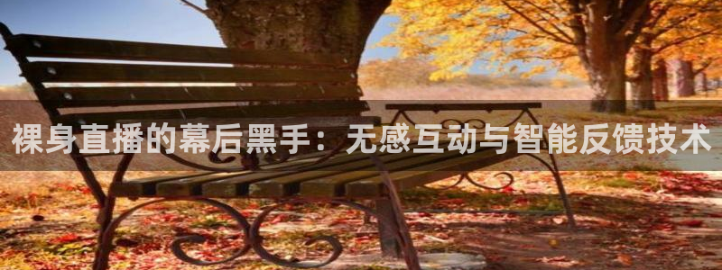 蜘蛛足球：裸身直播的幕后黑手：无感互动与智能反馈技术