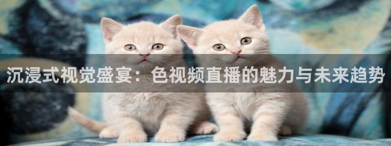 蜘蛛直播体育篮球：沉浸式视觉盛宴：色视频直播的魅力与未来趋势