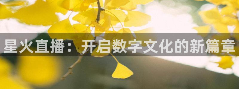 蜘蛛直播体育nba直播在线：星火直播：开启数字文化的新篇章