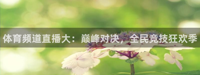 nba蜘蛛直播：体育频道直播大：巅峰对决，全民竞技狂欢季