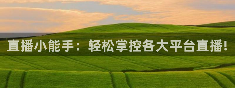 nba蜘蛛直播：直播小能手：轻松掌控各大平台直播!